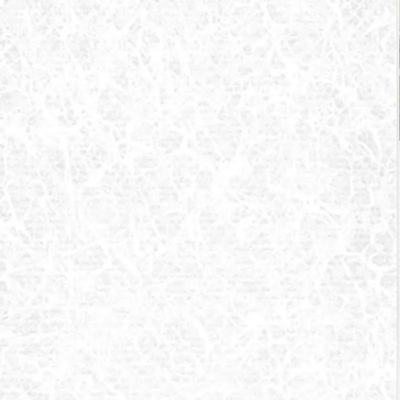 2026_06_01_958132