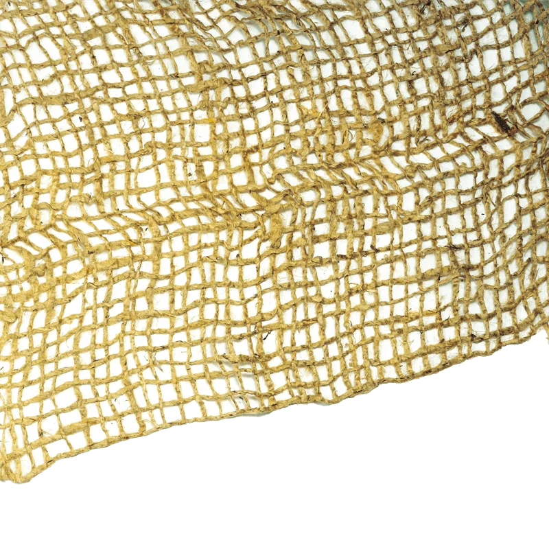 2026_06_01_959751
