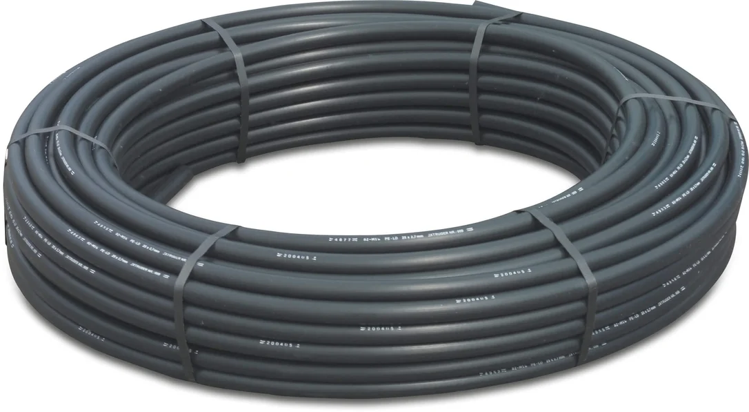 2026_06_01_965295