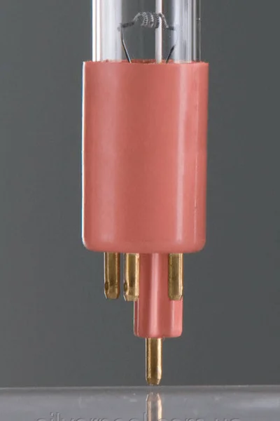2026_06_08_69142